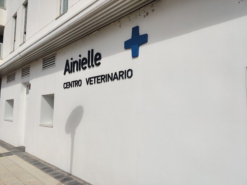 Imagen de Ainielle Centro Veterinario