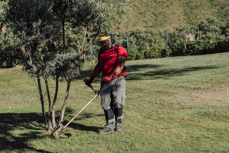 Imagen de Arcadia Jardines