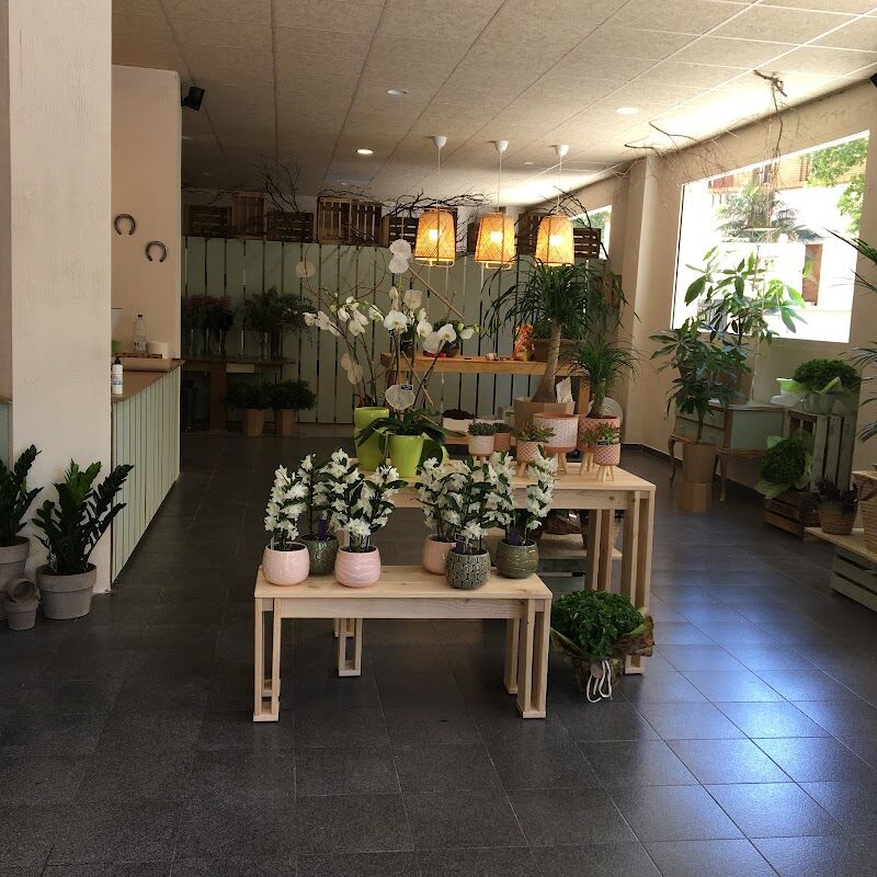 Imagen de negocio en Floristería en Provincia de Huesca