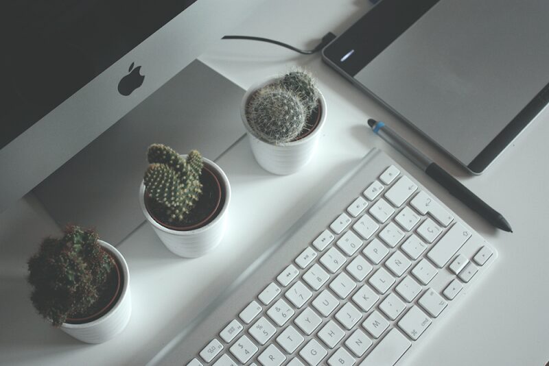 Imagen de Tropycal Interactive | Diseño Web, Social Media, Marketing Online, Video