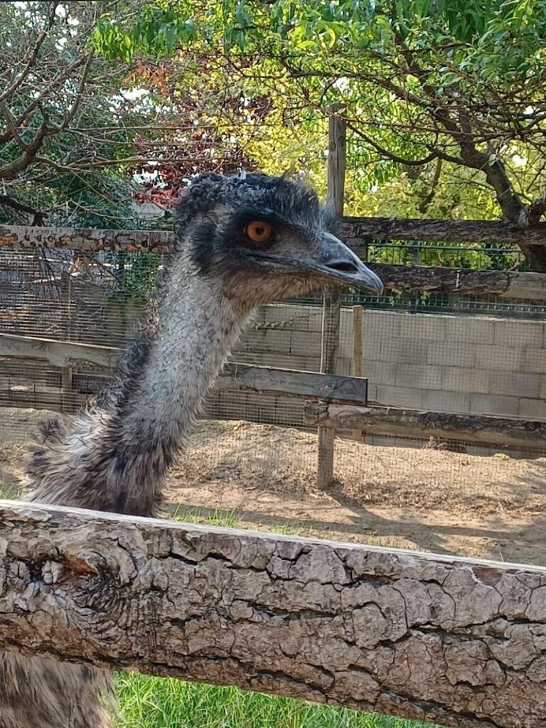 Imagen de Zoológico Iris