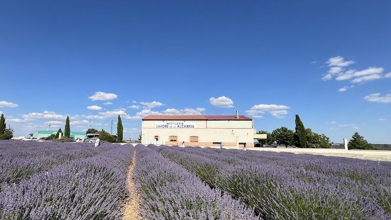 Imagen representativa de la localización