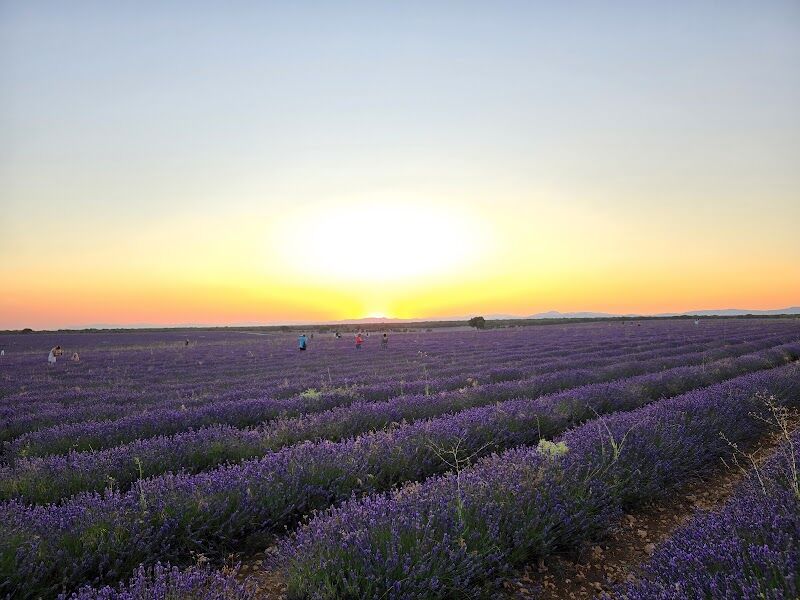 Imagen representativa de la localización