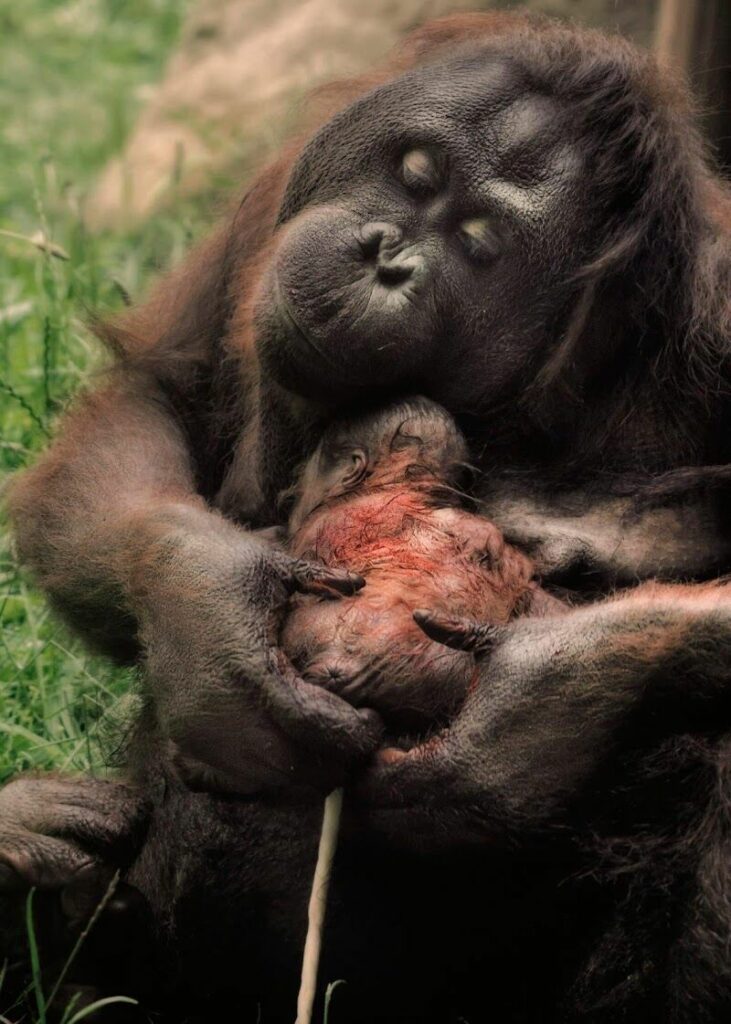 Imagen de Pediatra Carlota Abad Casas