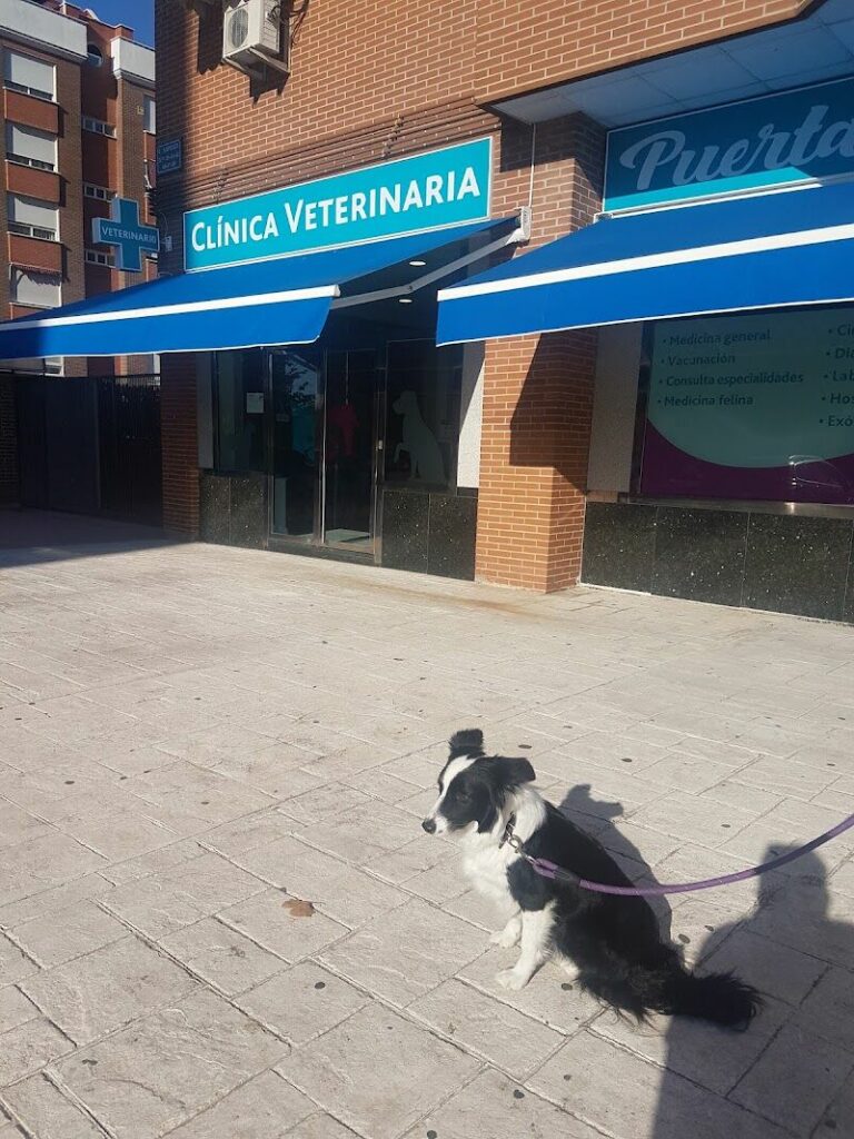 Imagen de ️ Clínica Veterinaria Puerta del Sur | Veterinaria en Móstoles