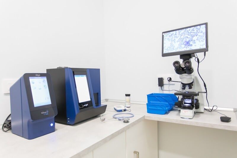 Imagen de ️ Clínica Veterinaria Puerta del Sur | Veterinaria en Móstoles