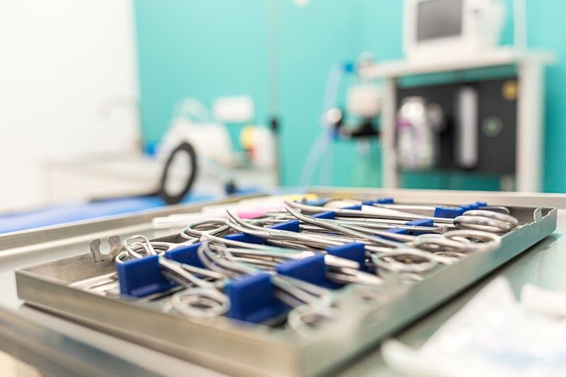 Imagen de ️ Clínica Veterinaria Puerta del Sur | Veterinaria en Móstoles