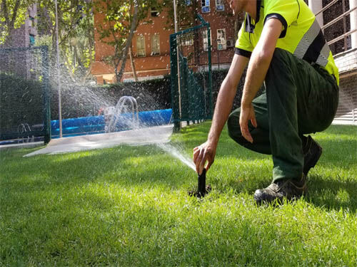 Imagen de Jardinería Profesional