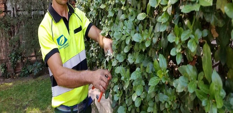 Imagen de Jardinería Profesional