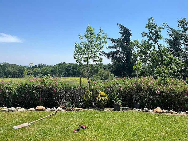 Imagen de Jardinería Profesional