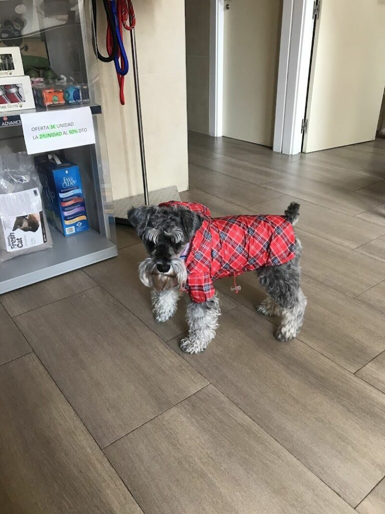 Imagen de Centro Veterinario el Nido