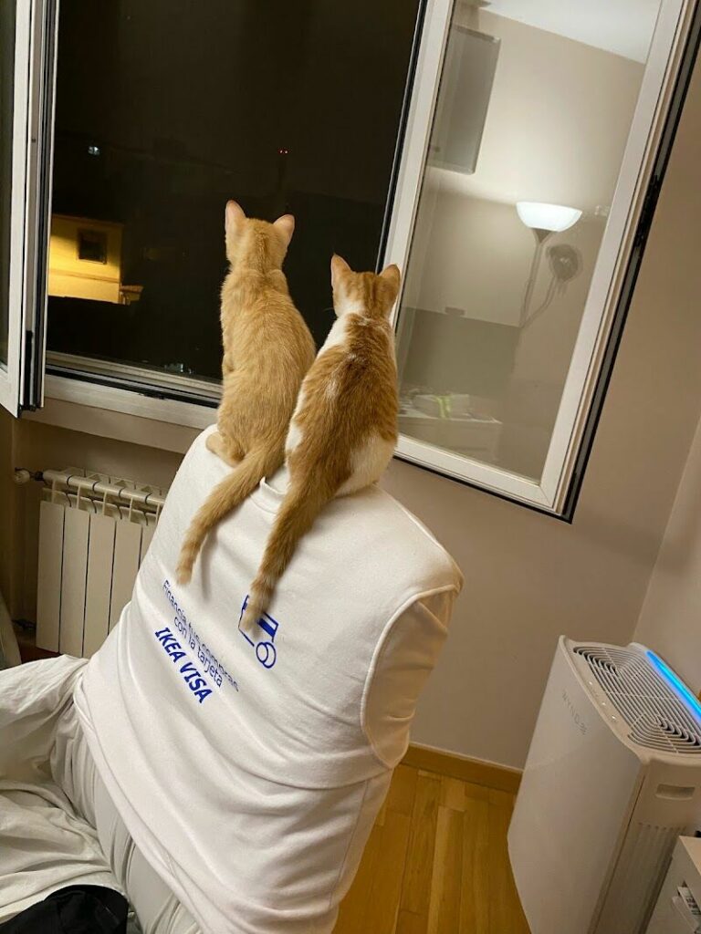 Imagen de Centro Veterinario el Nido