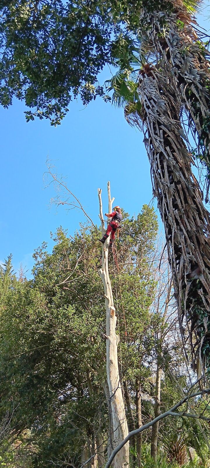 Imagen de negocio en Jardinería y exterior en Algarrobo