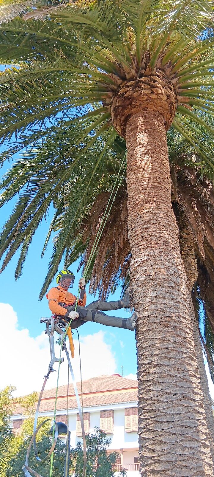 Imagen de negocio en Jardinería y exterior en Algarrobo