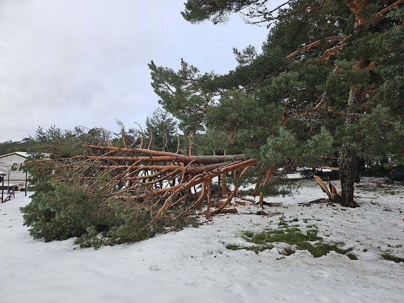Imagen de Camping la Nava