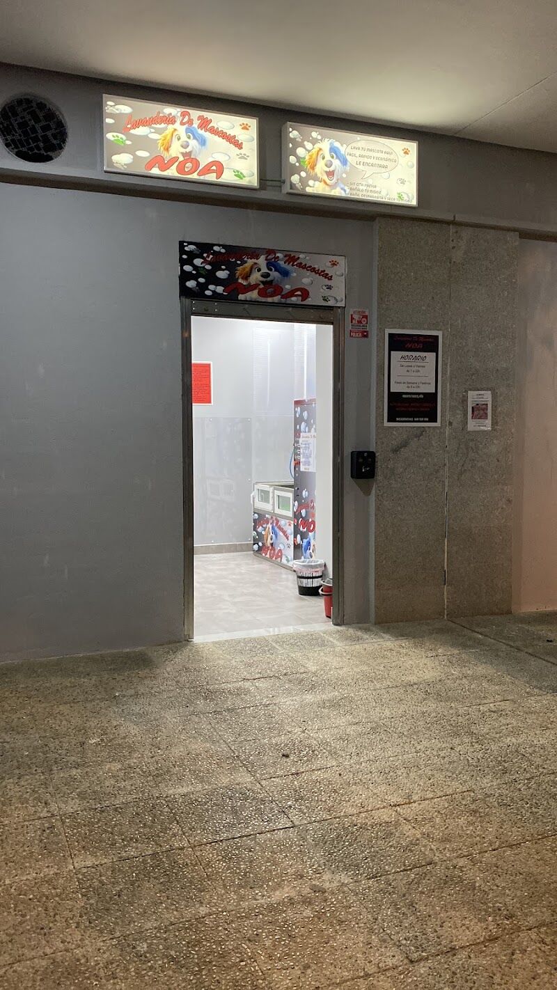 Imagen de negocio en Desinfección en Huelva