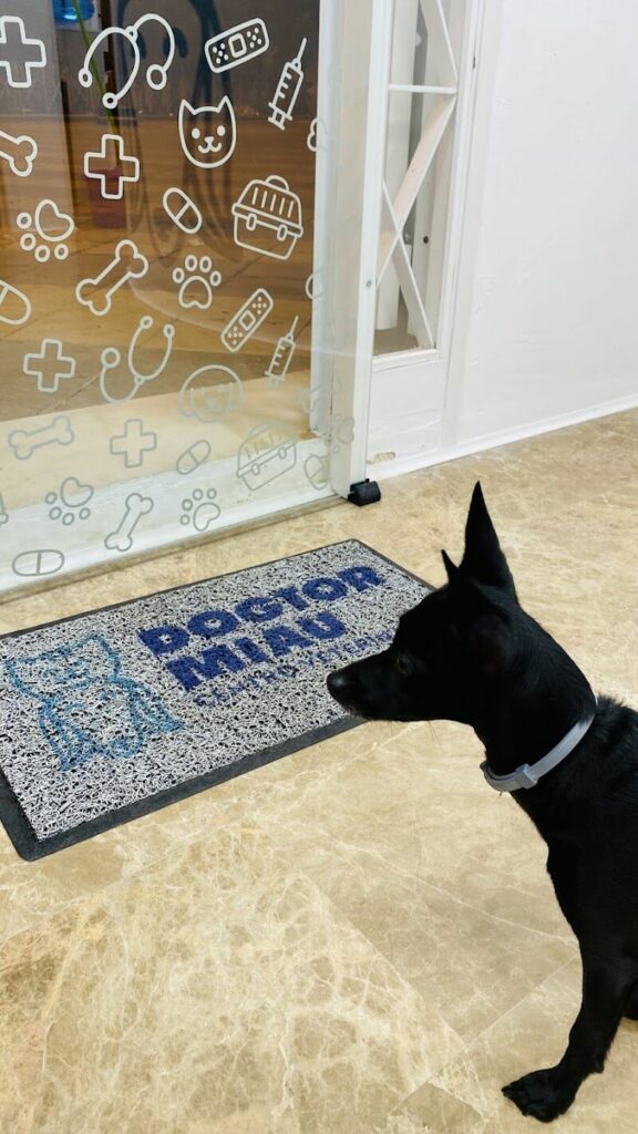 Imagen de Cv Dogtormiau