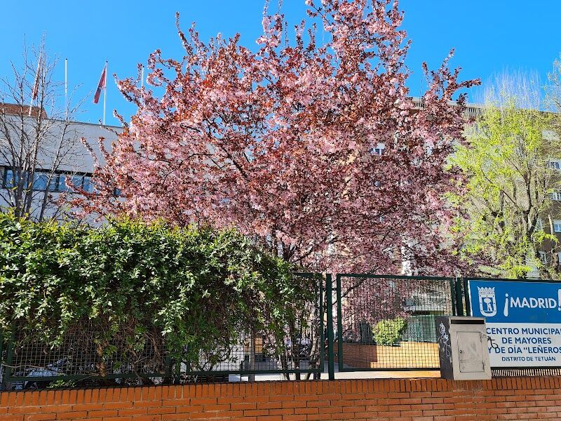 Imagen de Centro de Día Municipal Leñeros