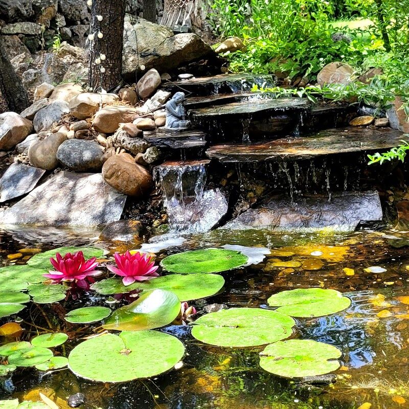 Imagen de negocio en Jardinería en Comunidad de Madrid