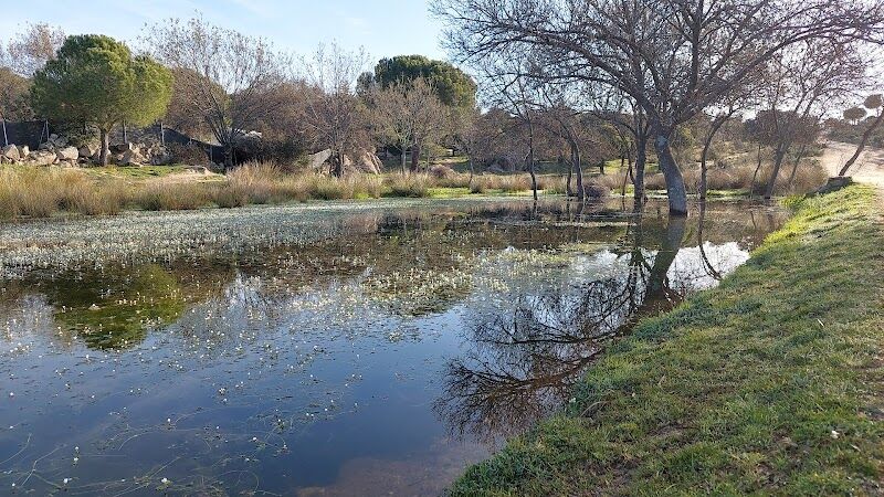 Imagen representativa de la localización