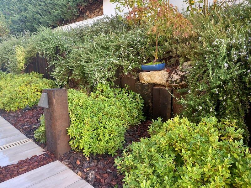 Imagen de Panorama Jardinería Paisajismo