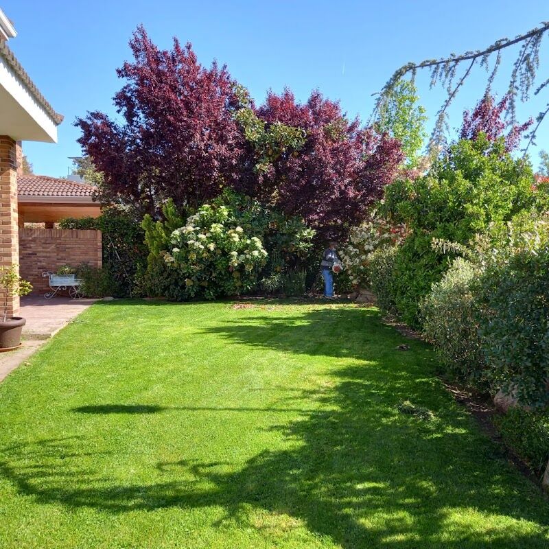 Imagen de Panorama Jardinería Paisajismo