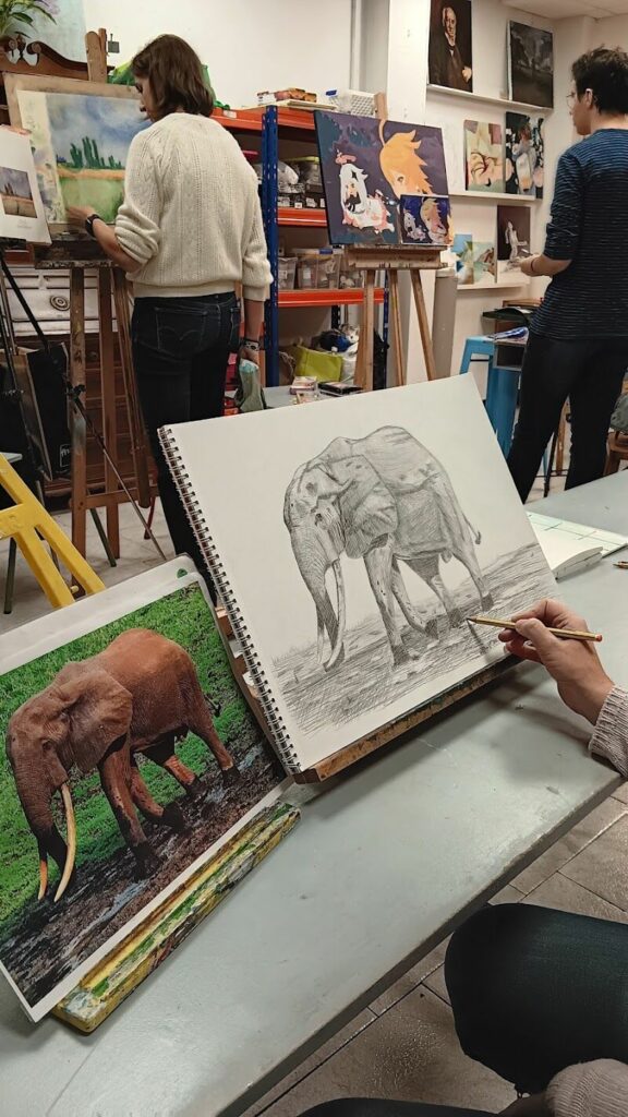 Imagen de Taller Ditrevi Artes Plásticas