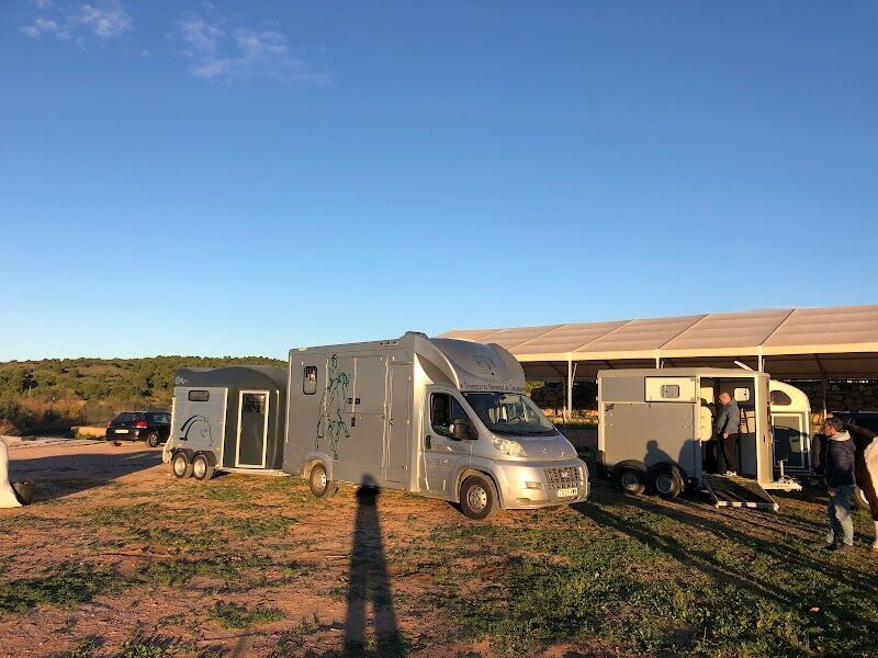 Imagen de Transporte de Caballos y Logística, Ths.