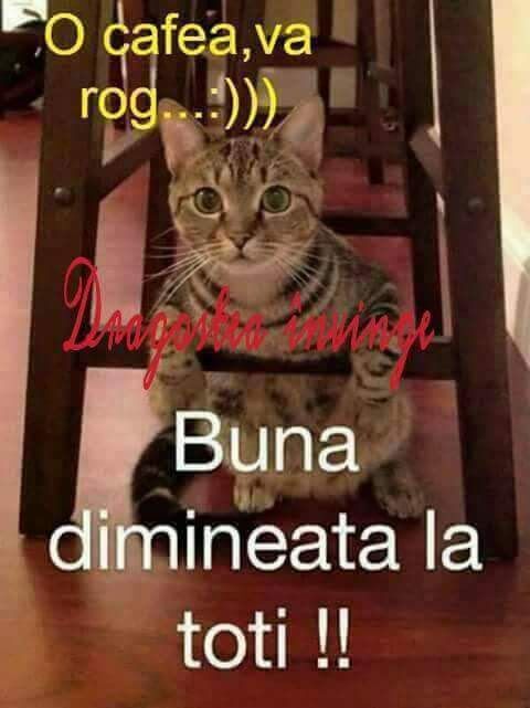 Imagen de Druni Perfumerías ®