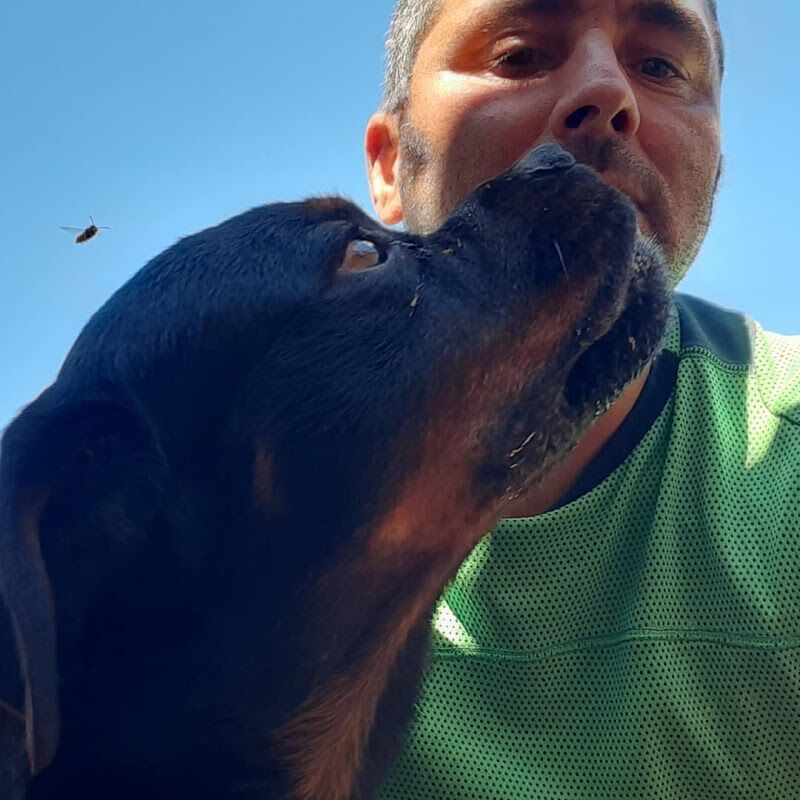 Imagen de Residencia Ana de Perros y Gatos