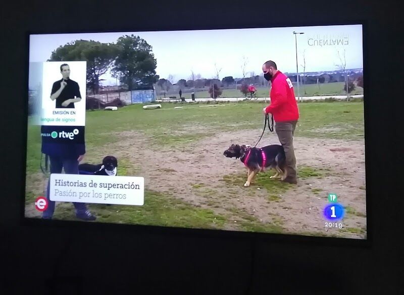 Imagen de Educación Canina Alfredo Rubira