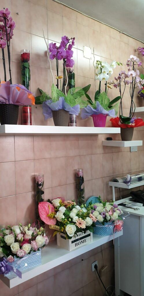 Imagen de Flores Melinda