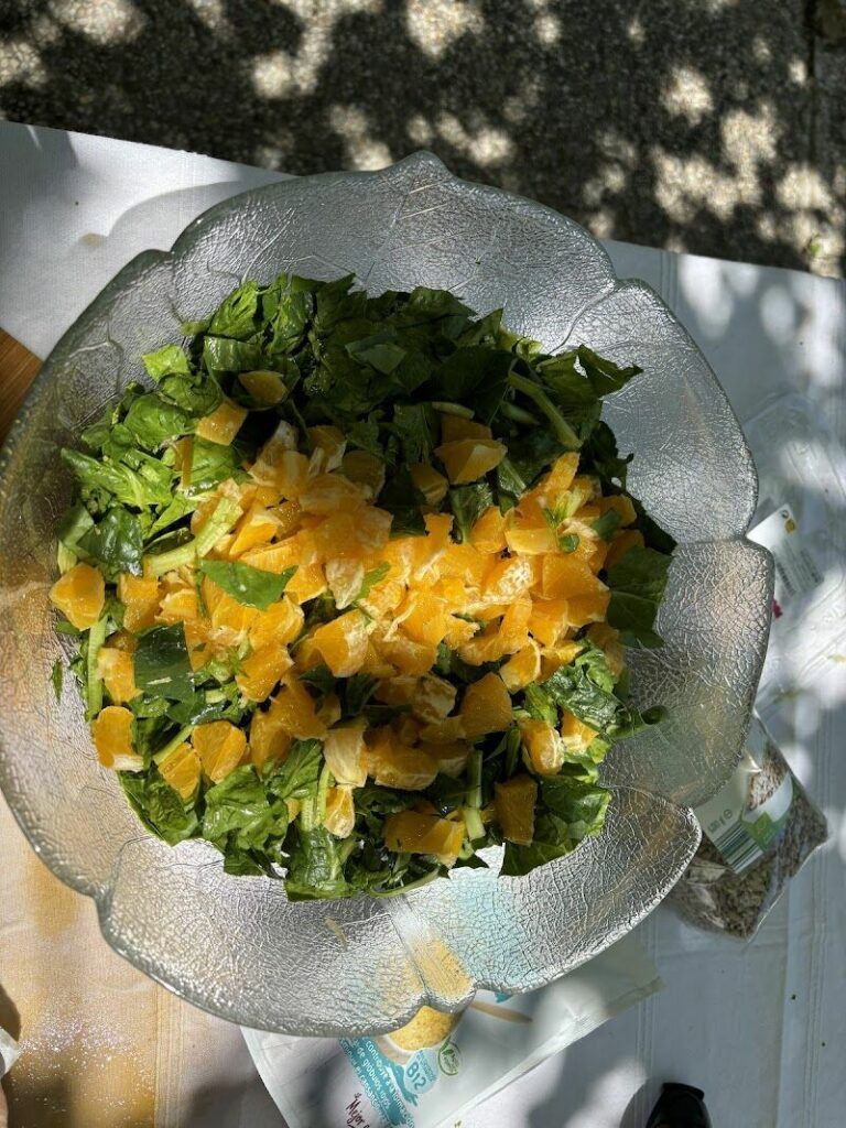 Imagen de Cocina Microbiótica