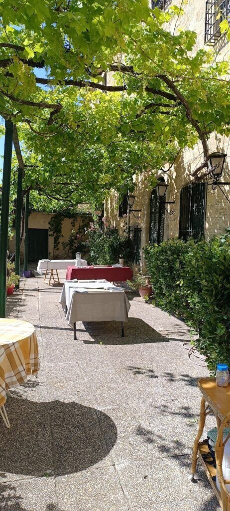 Imagen de Cocina Microbiótica