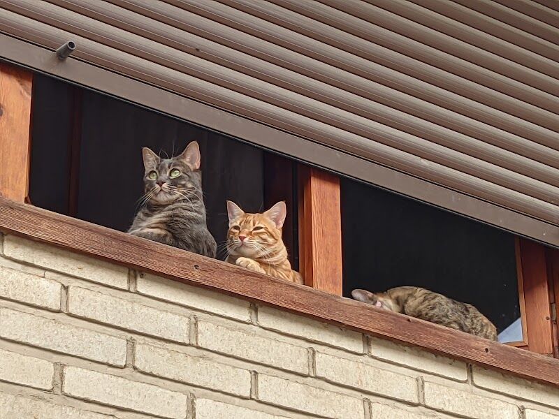 Imagen representativa de la localización