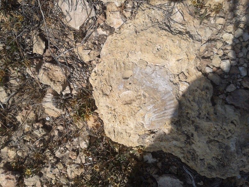 Imagen representativa de la localización