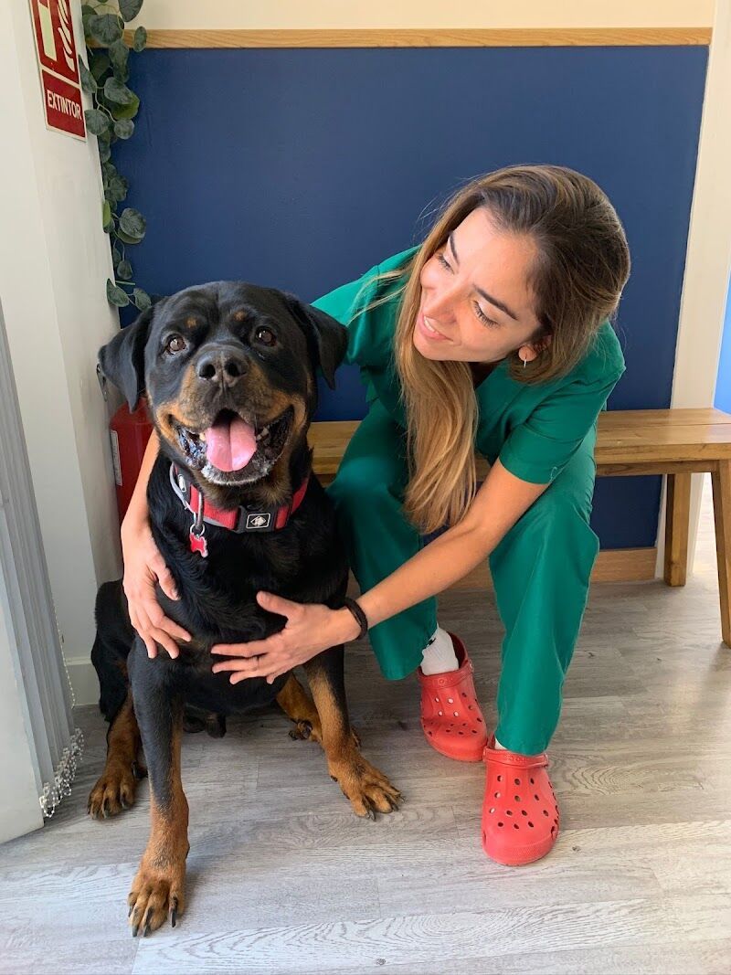Imagen de negocio en Veterinaria en Rincón de la Victoria