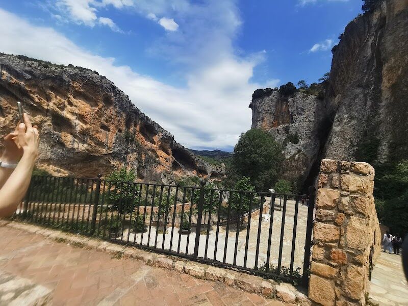 Imagen de Naturaleza 360