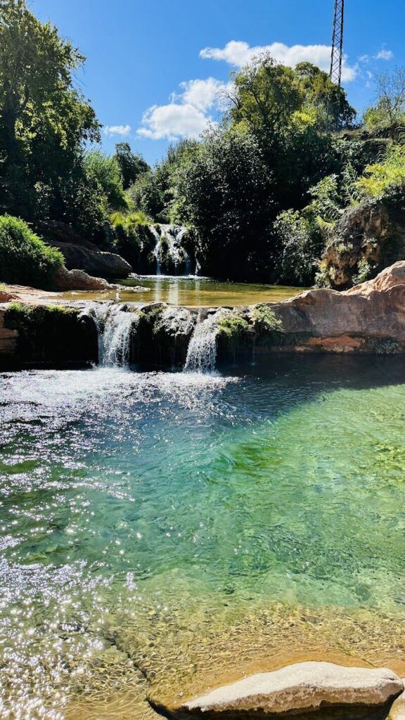 Imagen de Naturaleza 360