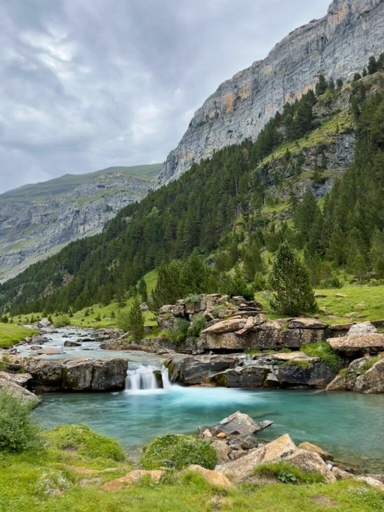 Imagen de Naturaleza 360