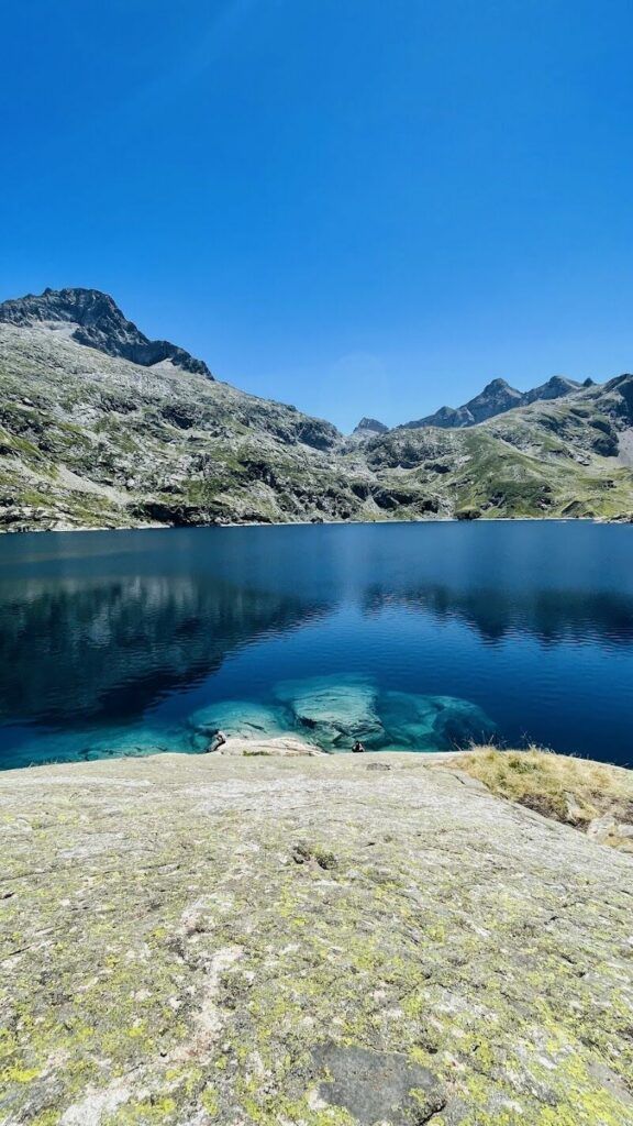 Imagen de Naturaleza 360