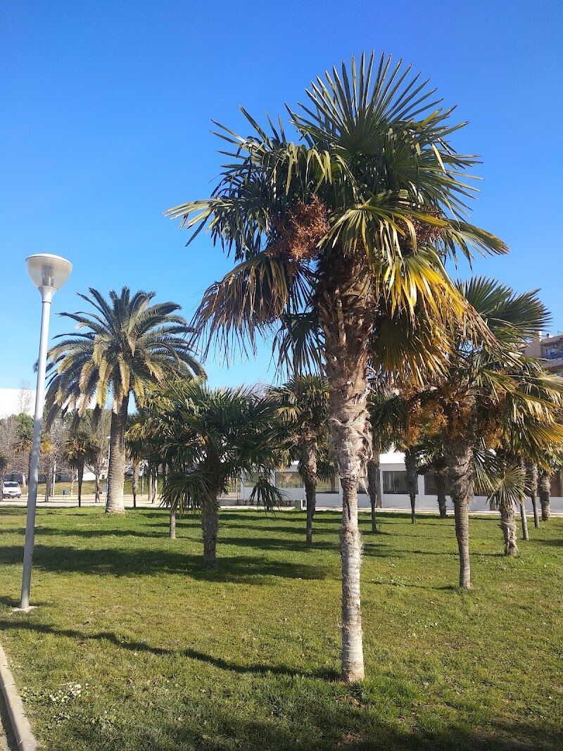 Imagen representativa de la localización