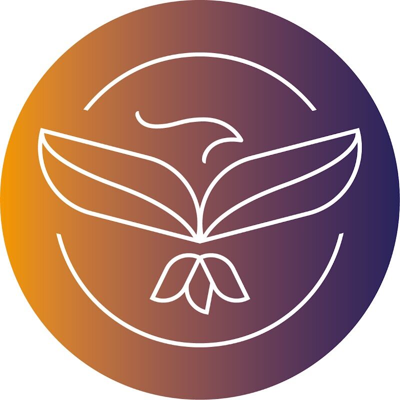 Imagen de Phoenix Capital