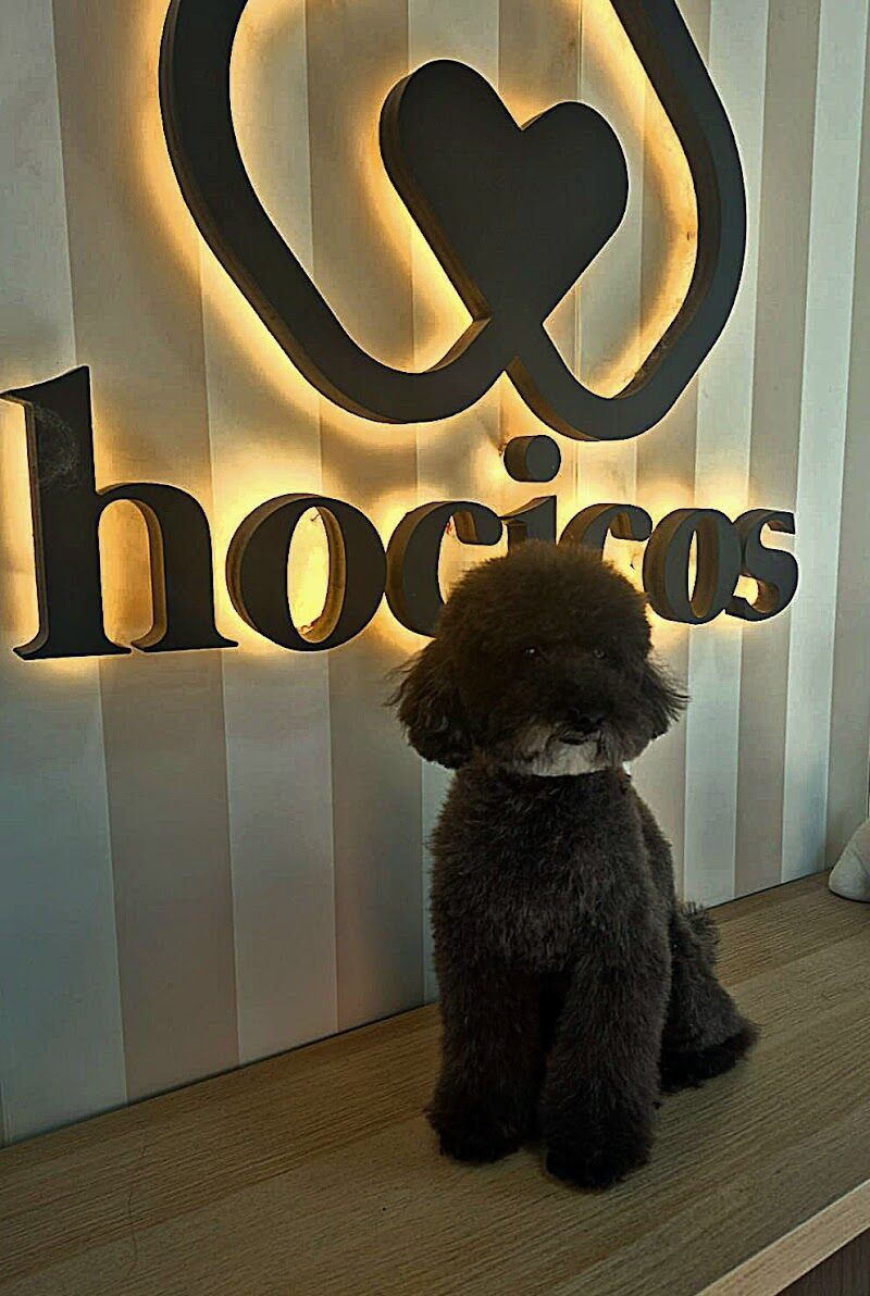 Imagen de negocio en Baño y spa para mascotas en Aragón