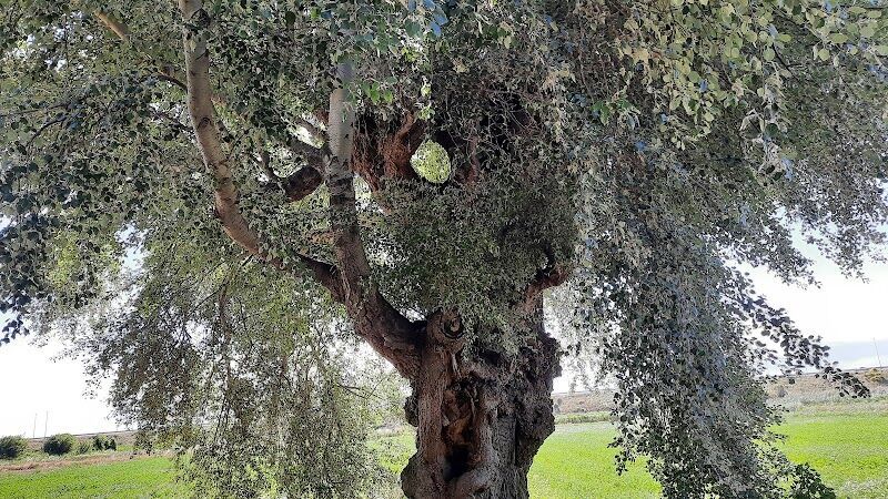 Imagen representativa de la localización