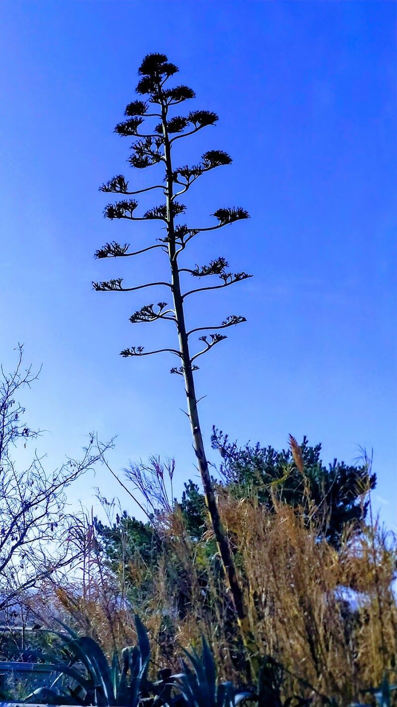 Imagen representativa de la localización