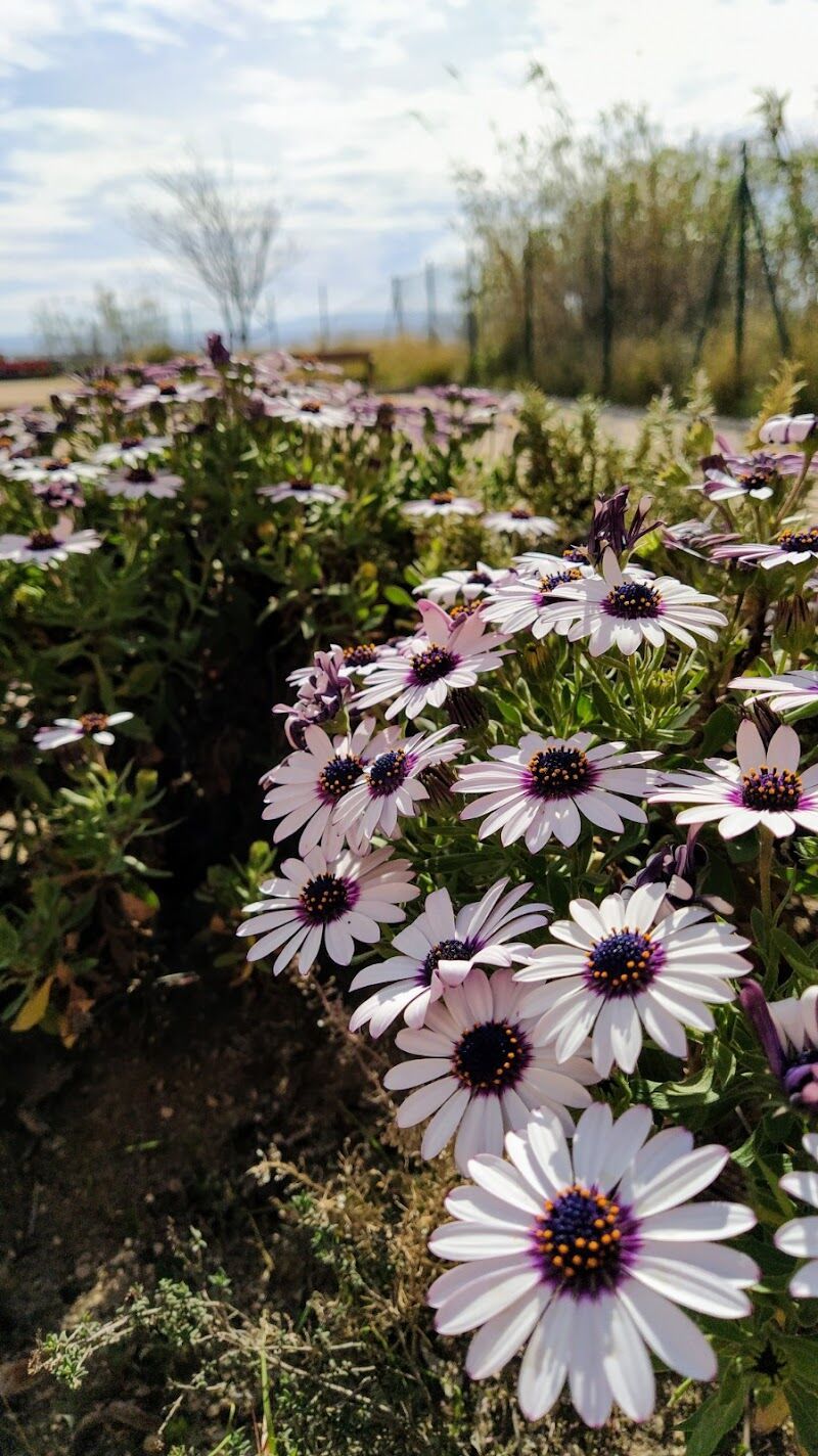 Imagen representativa de la localización