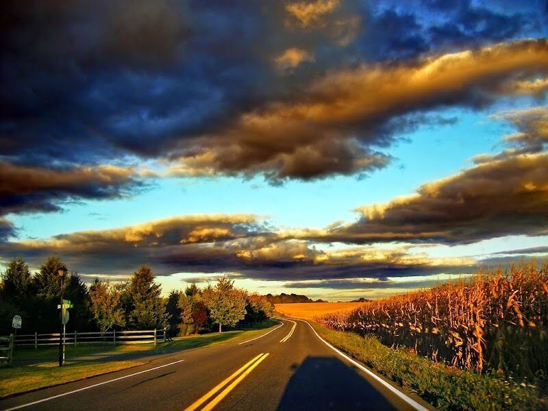 Imagen de Centro Médico Univérsitas
