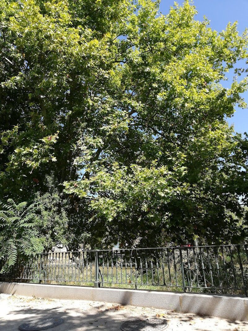 Imagen representativa de la localización