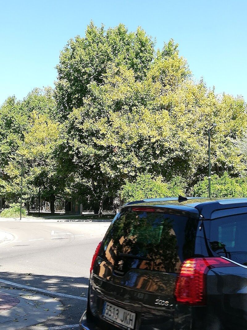 Imagen representativa de la localización